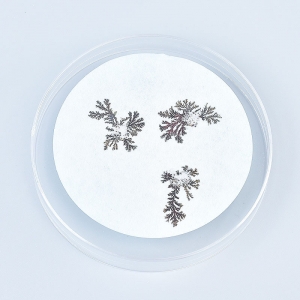 铁树开花科学实验 小学生DIY科技小制作科学小实验学教具