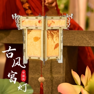 手提发光玩具古风花草大宫灯笼儿童花灯木质非遗宫灯