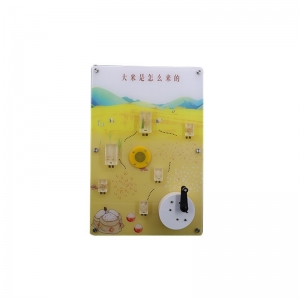 大米是怎么来的科普演示器 科技馆儿童教学演示仪器材展示用品
